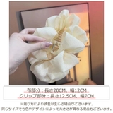 バンスクリップ レディース ヘアアクセサリー | PlusNao | 詳細画像16 