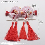 ヘアクリップ 髪留め 2個セット | PlusNao | 詳細画像15