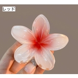 ヘアクリップ バンスクリップ レディース | PlusNao | 詳細画像11 