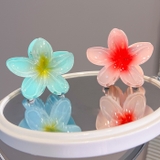 ヘアクリップ バンスクリップ レディース | PlusNao | 詳細画像7 