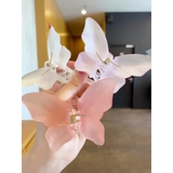 ヘアクリップ バンスクリップ ヘアアクセサリー | PlusNao | 詳細画像6