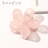 ヘアクリップ バンスクリップ レディース | PlusNao | 詳細画像9