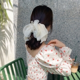 バレッタ レディース ヘアアクセサリー | PlusNao | 詳細画像12