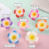 ヘアクリップ 同色2個セット レディース | PlusNao | 詳細画像11