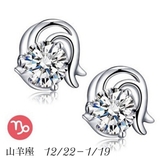 ピアス スタッドピアス 十二星座 | PlusNao | 詳細画像16