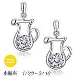 ピアス スタッドピアス 十二星座 | PlusNao | 詳細画像17