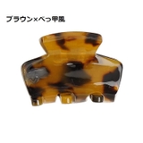 ヘアクリップ バンスクリップ 小さめ | PlusNao | 詳細画像10