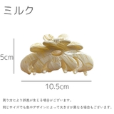 ヘアクリップ バンスクリップ レディース | PlusNao | 詳細画像13