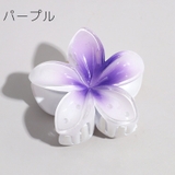 ヘアクリップ レディース 女性 | PlusNao | 詳細画像6