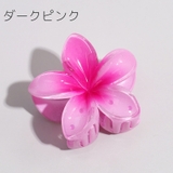 ヘアクリップ レディース 女性 | PlusNao | 詳細画像7