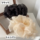 ヘアクリップ バンスクリップ レディース | PlusNao | 詳細画像10