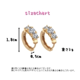 ピアス フープピアス レディーズ | PlusNao | 詳細画像9
