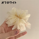 ヘアクリップ クチバシクリップ ヘアピン | PlusNao | 詳細画像12 
