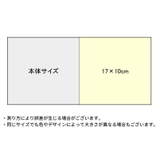 ヘアクリップ くちばしクリップ 女性 | PlusNao | 詳細画像7 