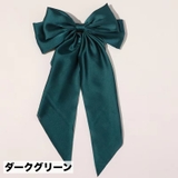 バレッタ ヘアアクセサリー レディース | PlusNao | 詳細画像12 