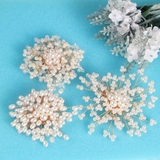 ブローチ ヘアクリップ レディース | PlusNao | 詳細画像9 