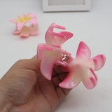 バンスクリップ ヘアクリップ 髪留め | PlusNao | 詳細画像2
