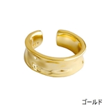 イヤーカフ イヤークリップ 単品 | PlusNao | 詳細画像6