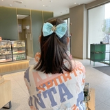 ヘアクリップ レディース ヘアアクセサリー | PlusNao | 詳細画像3