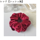 ヘアクリップ ヘアリング レディース | PlusNao | 詳細画像14 