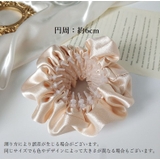 ヘアクリップ ヘアリング レディース | PlusNao | 詳細画像20 