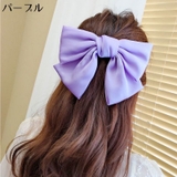 バレッタ レディース ヘアアクセサリー | PlusNao | 詳細画像18 