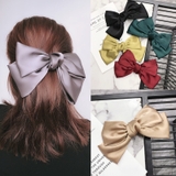 バレッタ レディース ヘアアクセサリー | PlusNao | 詳細画像2