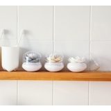 綿棒ケース 爪楊枝ケース 蓋付き | PlusNao | 詳細画像5