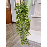 フェイクグリーン 植木鉢付き 人工観葉植物 | PlusNao | 詳細画像11