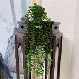 フェイクグリーン 植木鉢付き 人工観葉植物 | PlusNao | 詳細画像13