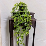 フェイクグリーン 植木鉢付き 人工観葉植物 | PlusNao | 詳細画像14