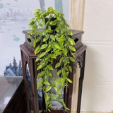 フェイクグリーン 植木鉢付き 人工観葉植物 | PlusNao | 詳細画像15