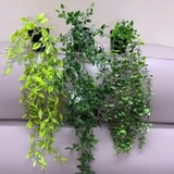 フェイクグリーン 植木鉢付き 人工観葉植物 | PlusNao | 詳細画像3