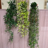 フェイクグリーン 植木鉢付き 人工観葉植物 | PlusNao | 詳細画像4