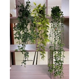 フェイクグリーン 植木鉢付き 人工観葉植物 | PlusNao | 詳細画像5