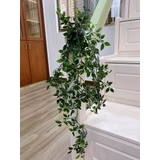 フェイクグリーン 植木鉢付き 人工観葉植物 | PlusNao | 詳細画像9