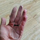 かかとやすり かかとケア フットケア用品 | PlusNao | 詳細画像5 