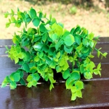 フェイクグリーン 人工観葉植物 2本セット | PlusNao | 詳細画像2