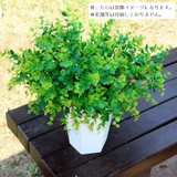 フェイクグリーン 人工観葉植物 2本セット | PlusNao | 詳細画像5