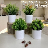 フェイクグリーン 人工観葉植物 造花 | PlusNao | 詳細画像1 