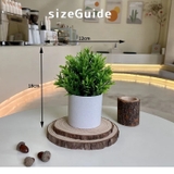 フェイクグリーン 人工観葉植物 造花 | PlusNao | 詳細画像10 