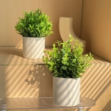 フェイクグリーン 人工観葉植物 造花 | PlusNao | 詳細画像3 