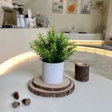 フェイクグリーン 人工観葉植物 造花 | PlusNao | 詳細画像6 