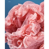 ボディスポンジ バススポンジ 丸型 | PlusNao | 詳細画像11 