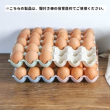 卵収納ケース 15個 卵用容器 | PlusNao | 詳細画像6