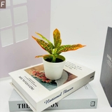 フェイクグリーン 造花 人工観葉植物 | PlusNao | 詳細画像12 