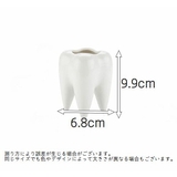 植木鉢 フラワーポット 多肉植物 | PlusNao | 詳細画像7 