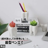 ペン立て 単品 鉛筆立て | PlusNao | 詳細画像1