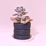 ペンホルダー ペン立て メイクブラシ立て | PlusNao | 詳細画像3 