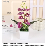 造花 胡蝶蘭 コチョウラン | PlusNao | 詳細画像9 